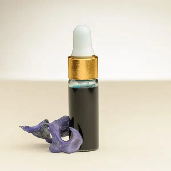4 ml flesje Blue Tansy etherische olie naast een gedroogde Blue Tansy bloem